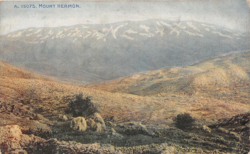 uk42352 mount hermon lebanon liban