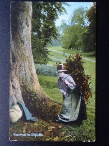 Social History WOMAN COLLECTING WOOD Free From the City's Din c1909 Postcard