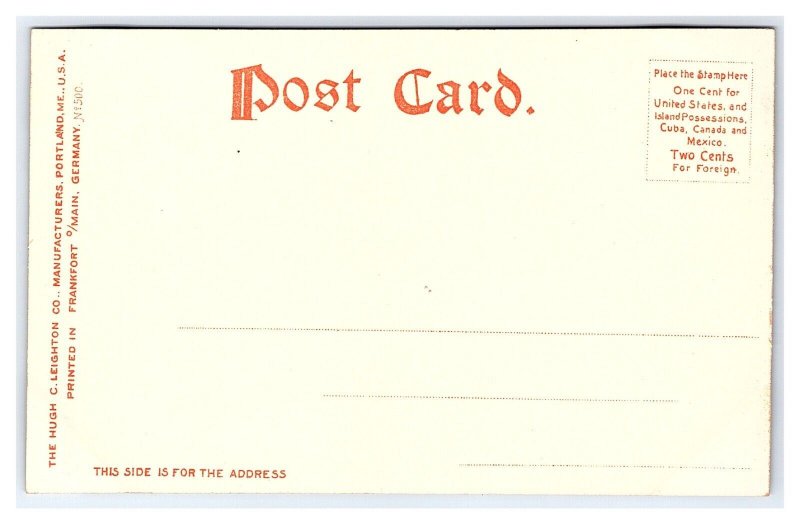 Scene In White's Park Concord N. H. New Hampshire Postcard