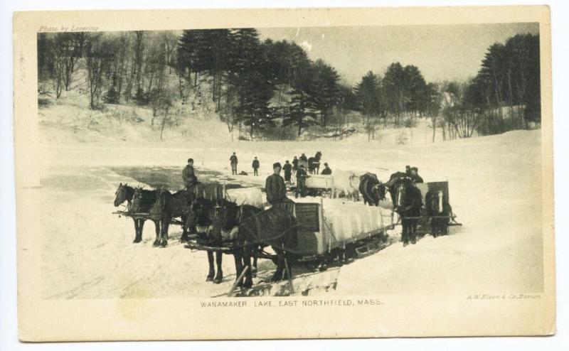 East Northfield MA Wanamaker Lake Ice Harvesting Horse & Wagons Postcard