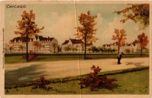 PC CPA US, ILLINOIS, CHICAGO, THE UNIVERSITY, VINTAGE LITHO POSTCARD (b6439)