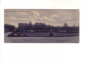 Forestry Farm, Indian Head, Saskatchewan, Narrow 6 X 2 3/4 Postcard