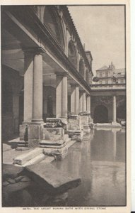 Somerset Postcard - Bath - The Great Roman Bath With Diving Stone - Ref TZ5660