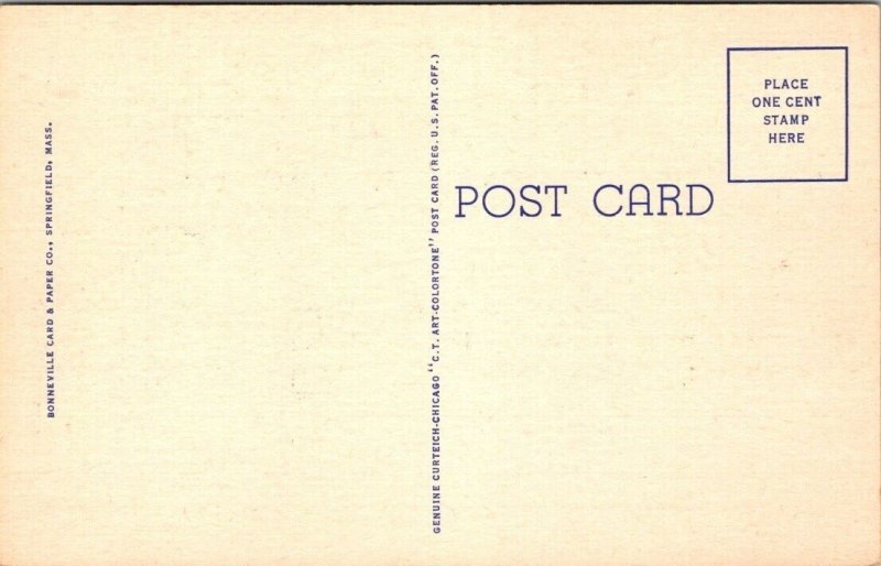 Vintage Springfield, Massachusetts Ma Postcard - Paddle Pond - Forest Park