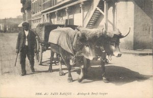 In the Basque Country - Team of Basque oxen cart