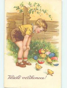 Divided-Back Easter foreign BOY BENDS DOWN TO LOOK AT THE BABY CHICKS o6381