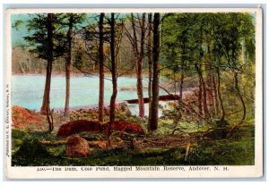 c1950's The Dam, Cole Pond, Ragged Mountain Reserve Andover NH Postcard 