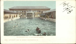 Palm Beach FL Swimming Pool c1905 Detroit Publishing Postcard