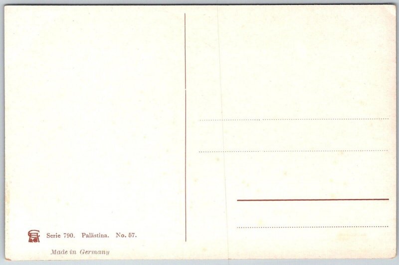 Palestine Israel c1910 Postcard The Shepherd's Field Near Bethlehem