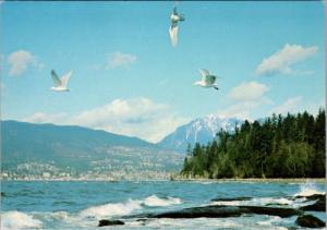 English Bay and Stanley Park Vancouver BC British Columbia Unused Postcard D36