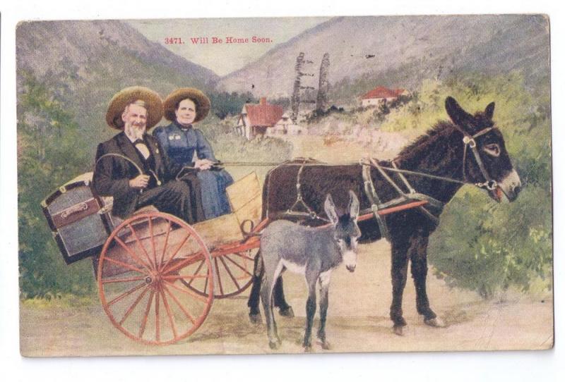 Will Be Home Soon Mules Wagon Tammen 1919 Western Postcard