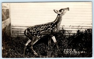 RPPC EAGLE RIVER, WI Wisconsin ~ PET DEER  1917? Photo by Parfitt Postcard