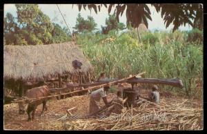Peasant Farmers Grinding Cane