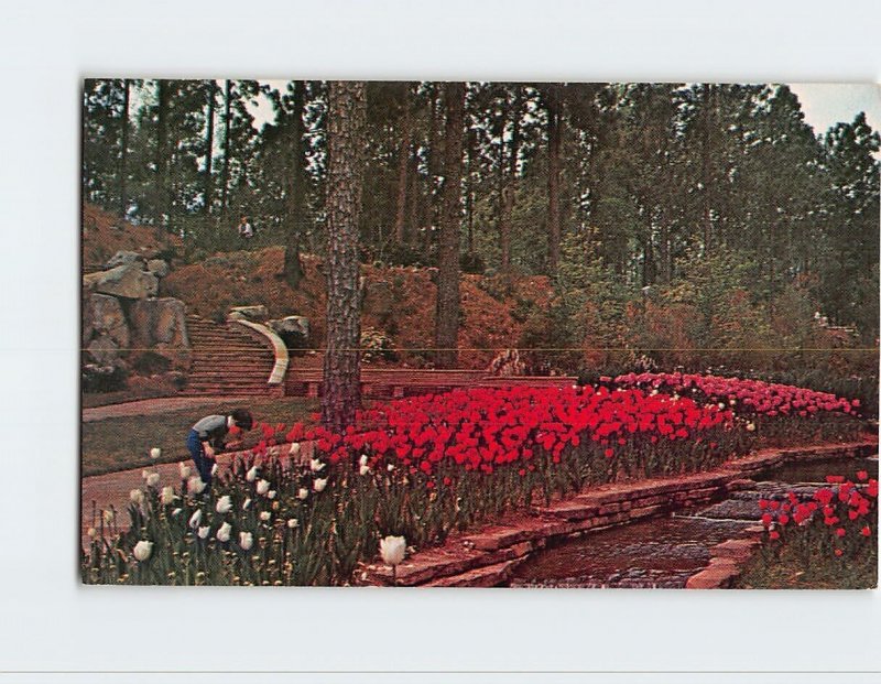 Postcard Hodges Gardens, Many, Louisiana