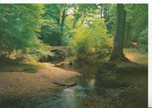 Hampshire Postcard - The New Forest - Highland Water - Ref  9613A