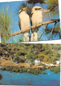 US88 Australia Kookaburras parrot and Mombasa Kenya aerial village fishing boat