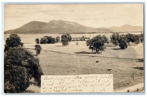 c1903 Mountain Ranch Horse View Lakeport California CA RPPC Photo Postcard