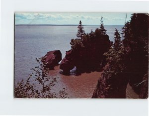 Postcard The Rocks At High Tide Hopewell Cape Canada