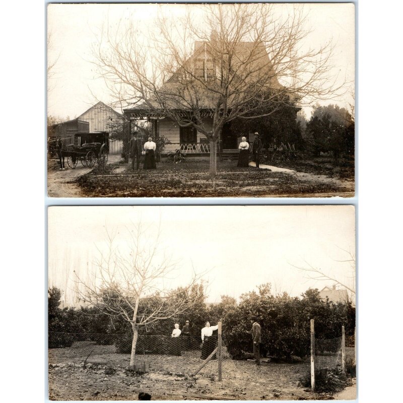 x2 SET c1910s Family Farm House RPPC 2 Couples Fruit Trees Horse Carriage A146