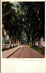 Vtg Springfield MA Cemetery Avenue Tree Lined Street 1905 Detroit Pub Postcard