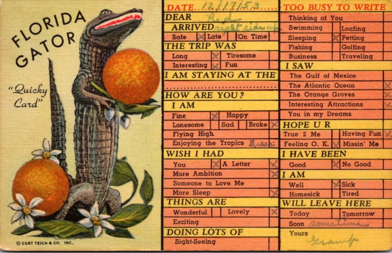 Florida Gator Busy Persons Correspondence Card Curteich