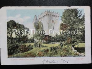 c1907, Blarney Castle Co Cork, PROMO PC Richard Williams, Cloughjordan Tipperary