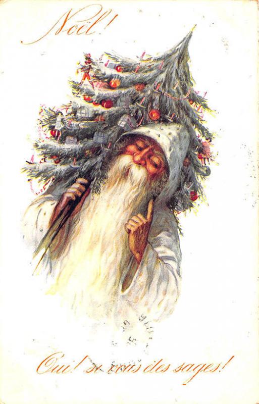 Christmas Tree Carrying Santa Claus White Robed France Postcard