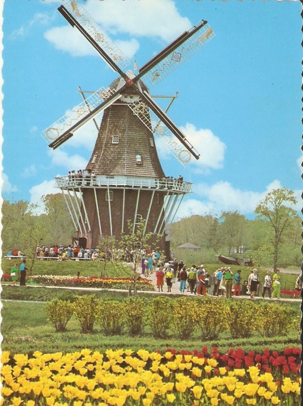 Windmills Set containing six (6) nice modern photo  postcards