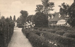 Vintage Postcard 1910's Boxwood Garden Home of George Washington Mt. Vernon VA