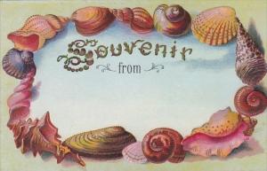 Souvenir From With Shell Border