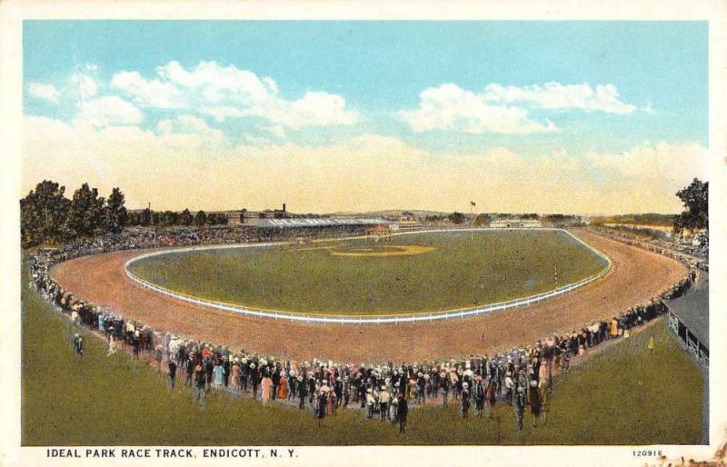 Endicott New York Ideal Park Race Track Birdseye View Antique Postcard K59712