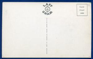 New Mexico nm Greetings Map chrome postcard