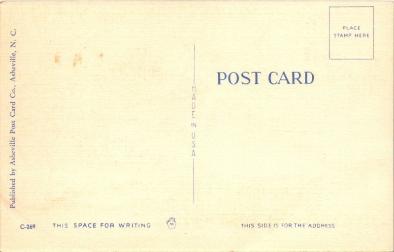 Having My Picture Taken, Man Fish Comic BIN