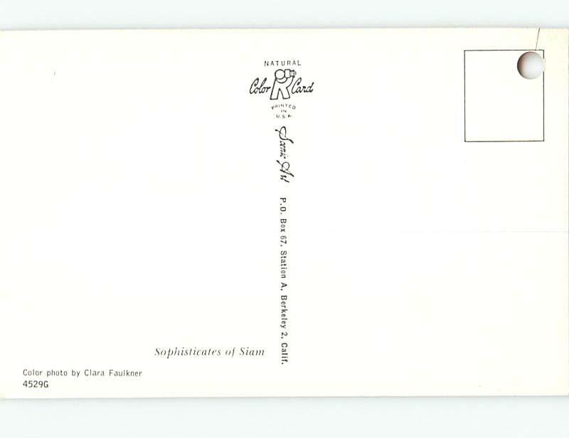 Hole Punch Damage Pre-1980 TWO SIAMESE CATS n0398