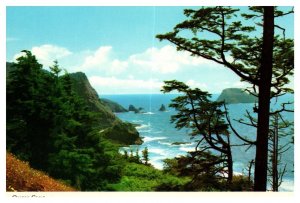 Oregon Coast Cape Mears Portland Landscape Forest Nature Chrome Postcard UNP 