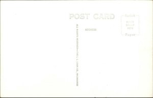 Princeton IL Old Red Covered Bridge Real Photo Postcard