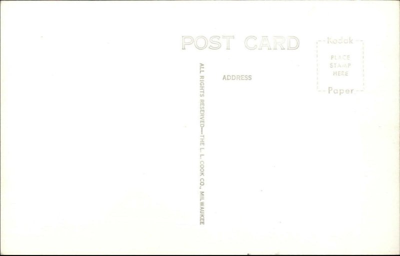 Princeton IL Old Red Covered Bridge Real Photo Postcard