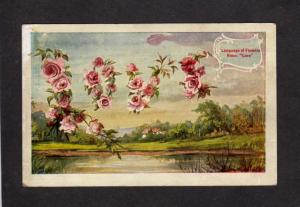 Language of Flowers Pink Roses Love Rose Vintage Postcard Carte Postale