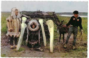 Typical Hut in the Artic Region of Alaska Walrus Tusks in Front  4 by 6