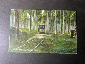 Mint British Malaysia Postcard RPPC Electric Tramway Penang