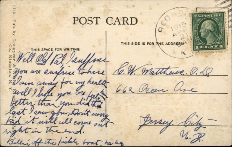 Red Hook NY North Broadway c1910 Postcard