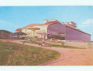 Pre-1980 NICE VIEW Ciudad Juarez Mexico i4125