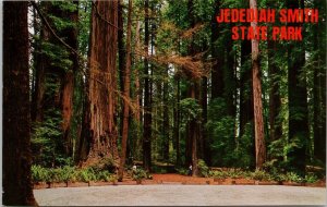 Jedediah Smith State Park CA Stouts Memorial Grove nr Crescent City Postcard H21