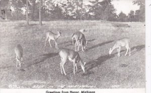 Michigan Greetings From Honor Deer In The Northwoods 1948 Real Photo