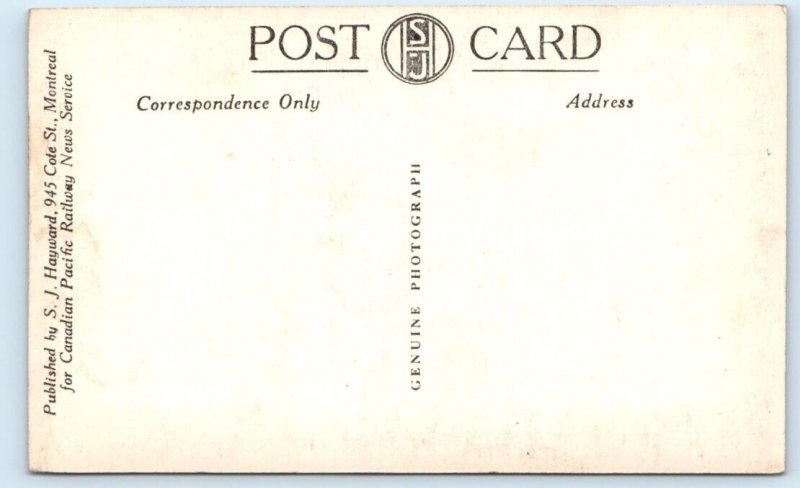 RPPC Apple Blossoms WOLFVILLE Nova Scotia CANADA Postcard