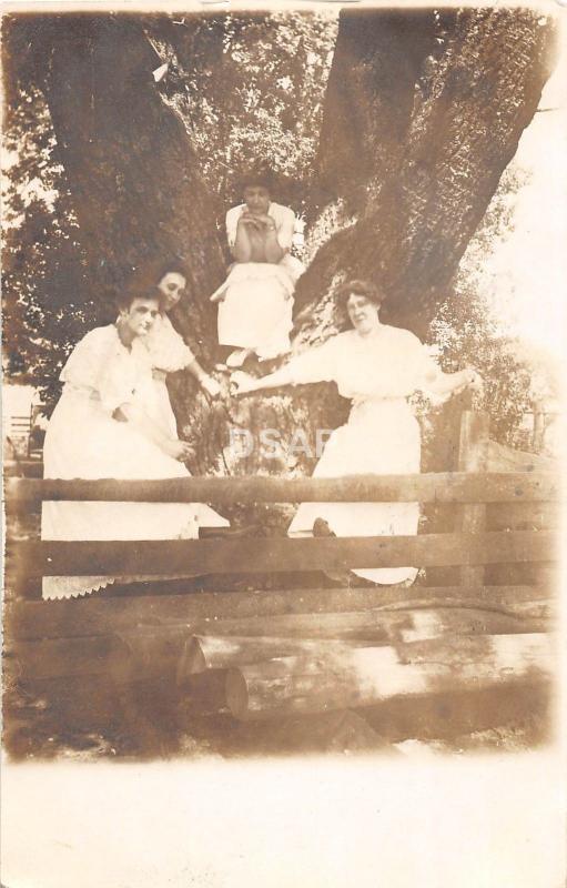 C55/ Delaware Ohio Postcard Real Photo RPPC 1915 Women Large Tree Dresses