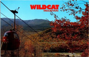 Wildat Mountain Gondola Mount Washington Pinkham Notch NH New Hampshire Postcard 