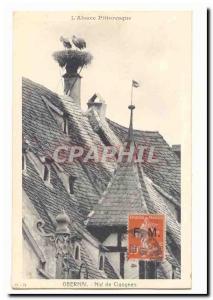 Obernai Old Postcard Storks nest (FM unusual timbre)