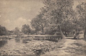 Umbrellas Chelmsford Recreation Ground Essex Old Postcard