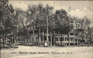 Monticello NY New York Mansion House c1910 Postcard